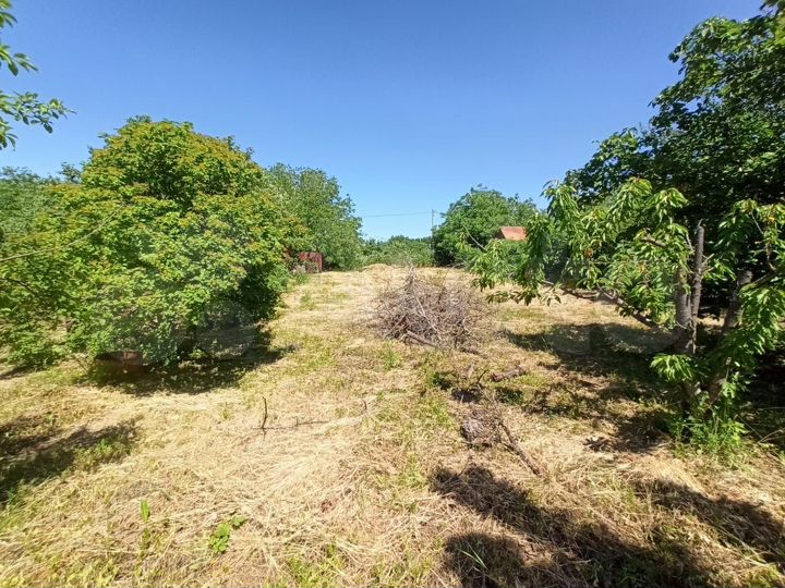 Участок 6 сот. (СНТ, ДНП)