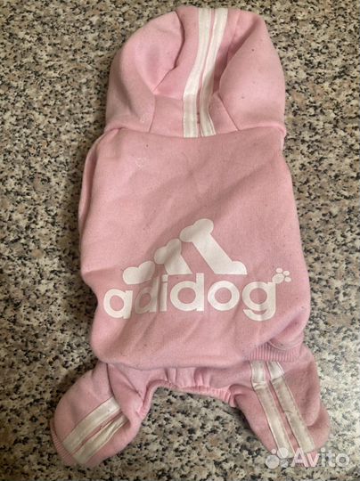 Одежда для собак