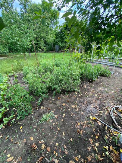 Дача 10 м² на участке 6 сот.