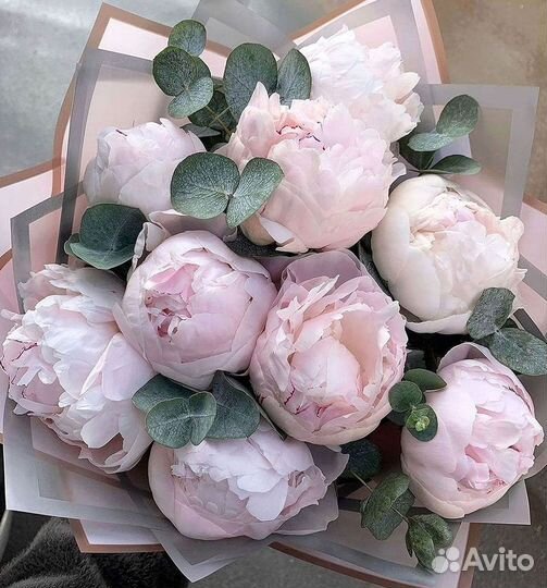 Пионы Цветы Доставка