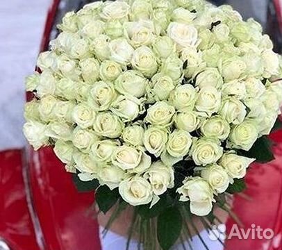 Розы гиганты 140 150 160 170 180 200