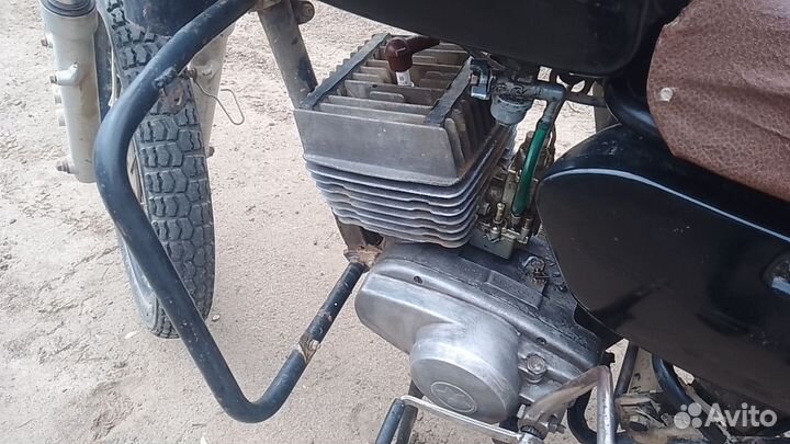 Минск лесник