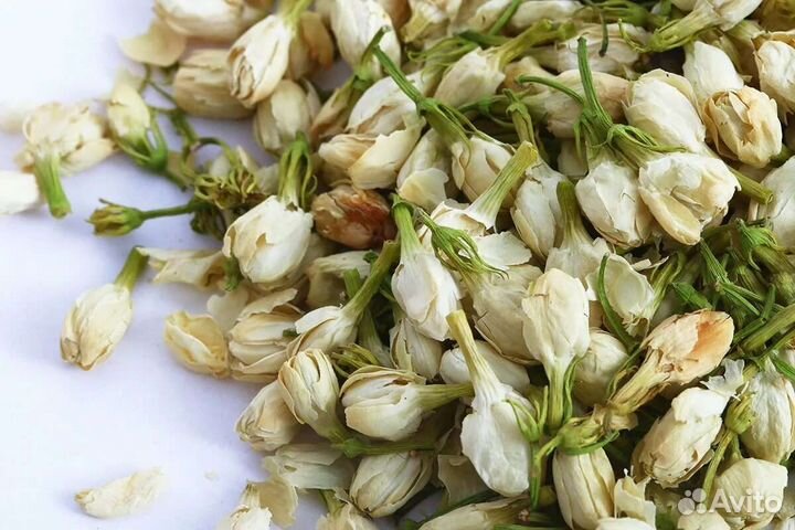 Цветы жасмина