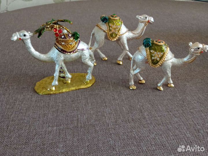 Сувениры из Алжира