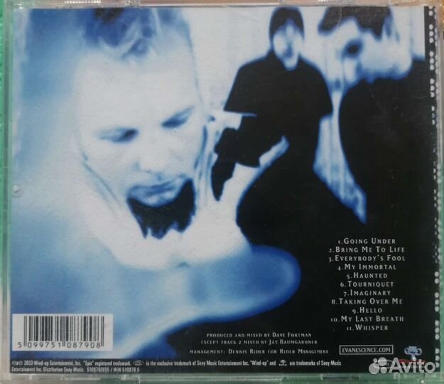 CD Garbage, Evanescence, Era, Chicane, Frank Duval