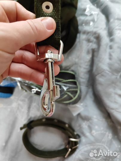 Ошейник и поводок