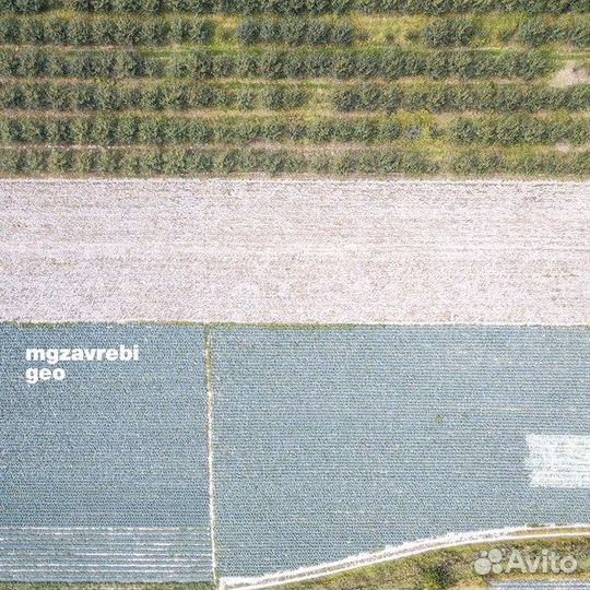 Mgzavrebi (Мгзавреби) GEO (DJ-pack) (1 CD)