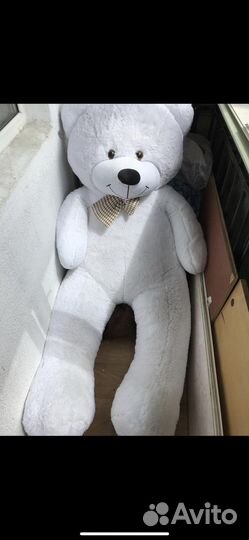 Плюшевый мишка