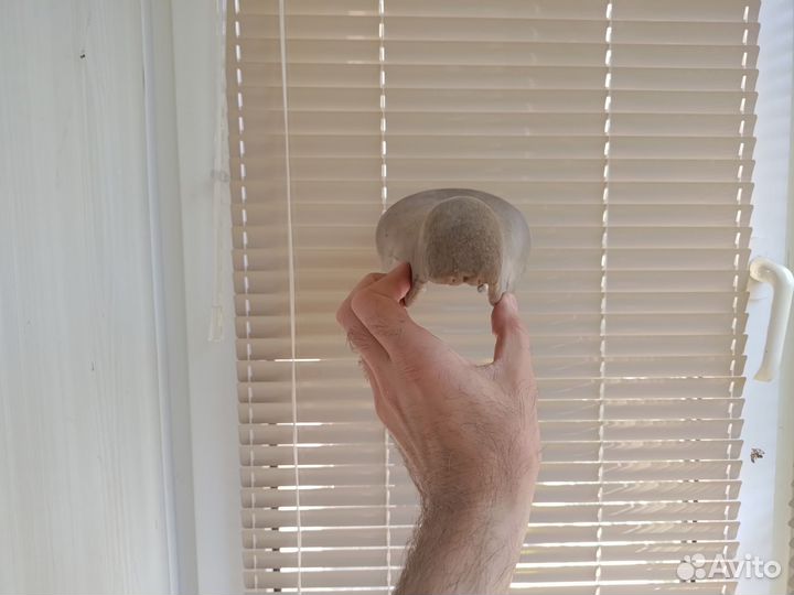 Седло Selle Royal Dolphin