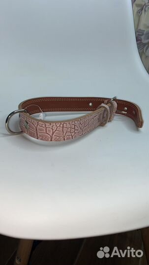Ошейник для собак