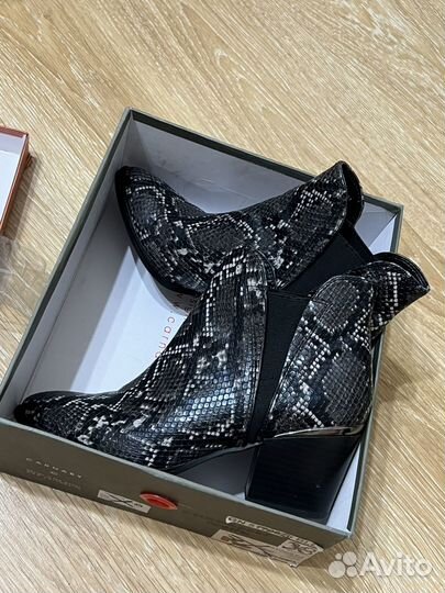 Казаки Carnaby