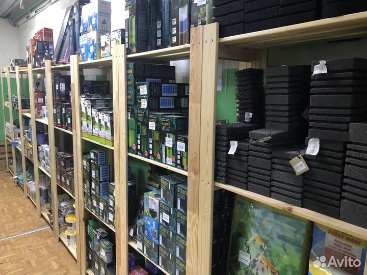 Аквариумистика