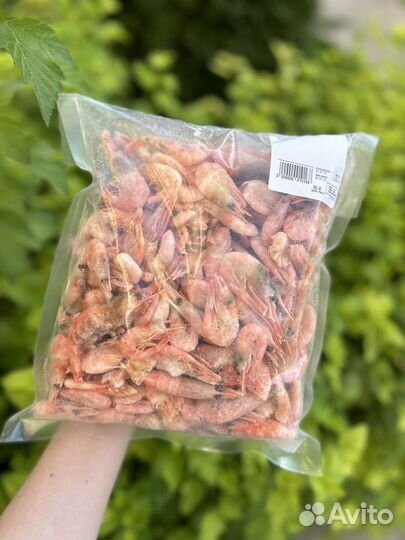 Креветка мурманская
