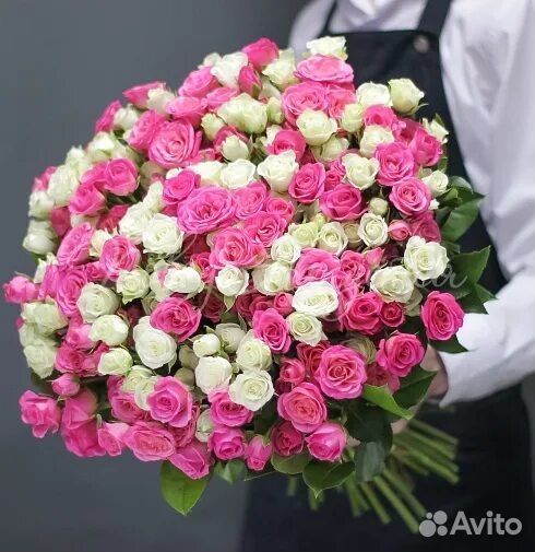 Цветы роза кустовая