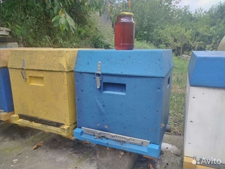 Мед натуральный с личной пасеки