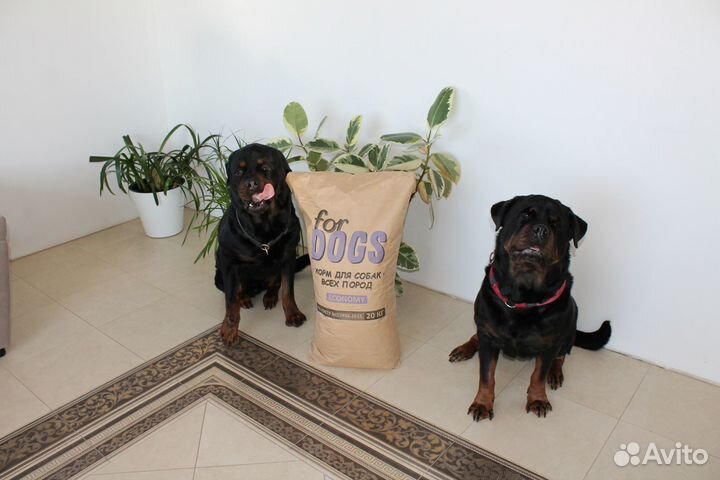 Корм для собак Фор Дог 20кг