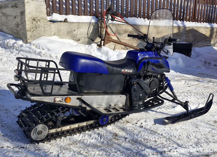 Динго 150 год 2018