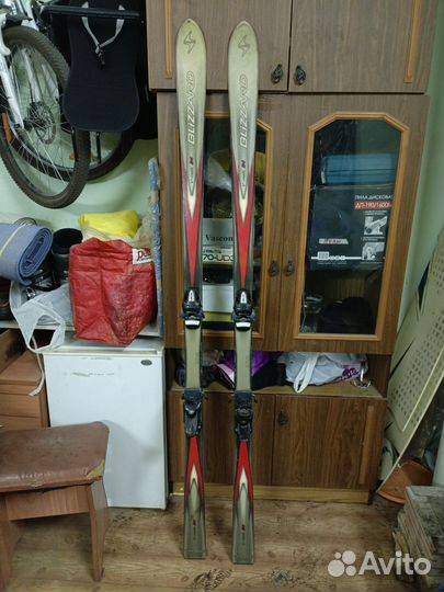 Горные лыжи