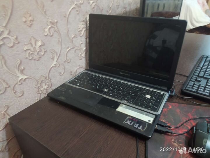 Packard Bell easynote TE