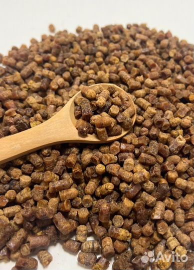 Пчелиная Перга