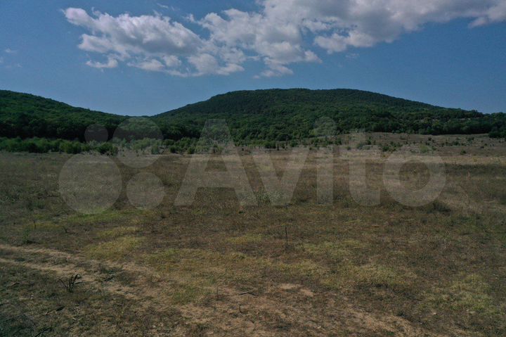 Участок 36,3 сот. (ИЖС)