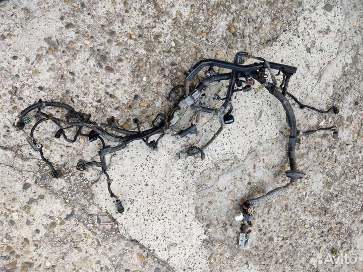 Проводка в сборе Хонда фит кузов GD3 двиг.L15A