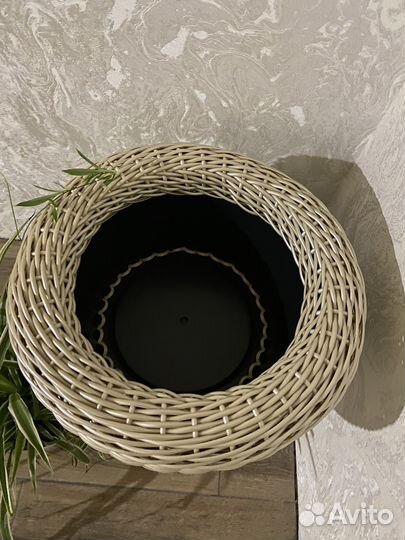 Кашпо- плюшка- миниклумба