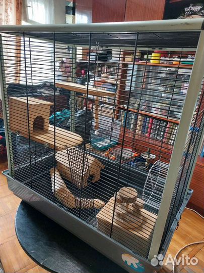 Клетка террариум