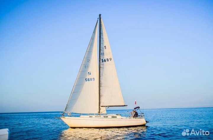 Морская прогулка/рыбалка в Сочи и Адлере