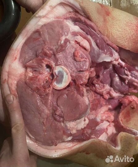 Свинина Дюрок, домашняя