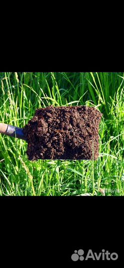 Конски навоз очень хароший