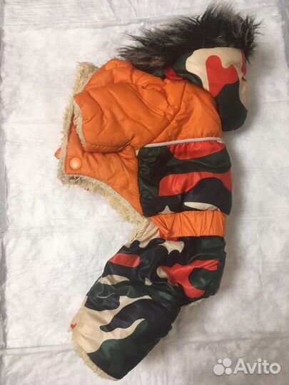 Одежда для маленькой собаки