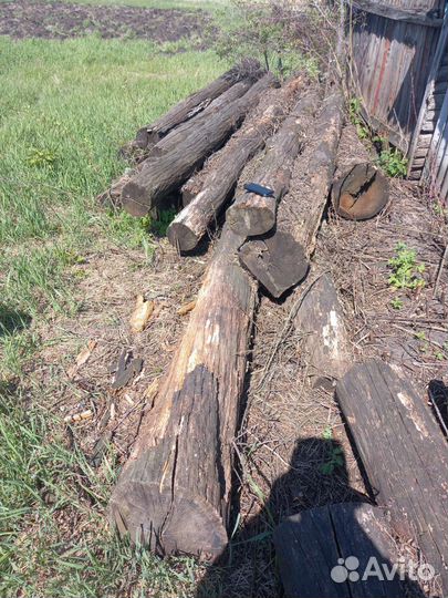 Бревна дубовые