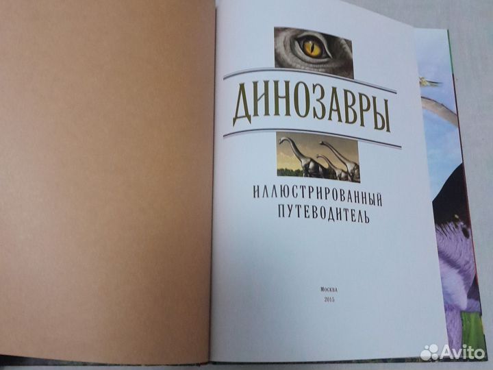 Книга Динозавры и Большая книга Пиратов
