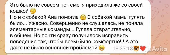 Зоопсихолог