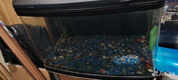 Продаю аквариум джебо 375
