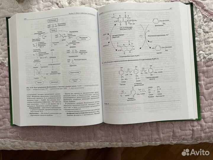 Учебник по Биохимии Северин