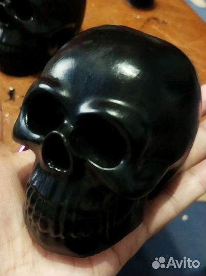 Череп из гипса