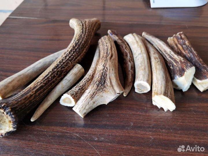 Рога для рукоятки, подделки. Заготовка