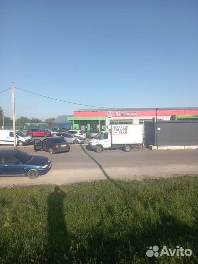 Живая рыба карп толстолобик белый амур карась