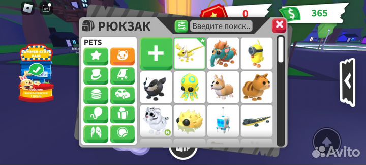 Петы в адопт ми за рубли