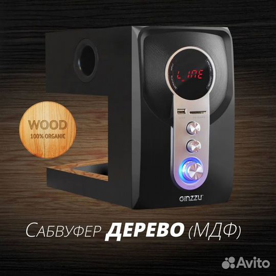 Акустическая система Ginzzu GM-405