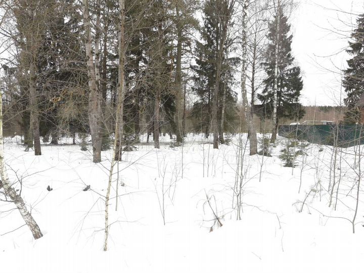 Участок 15 сот. (ИЖС)