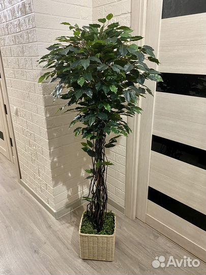 Искусственное дерево дом кафе ресторан офис