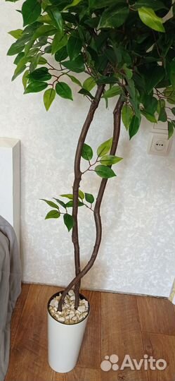 Фикус бенджамина искусственный