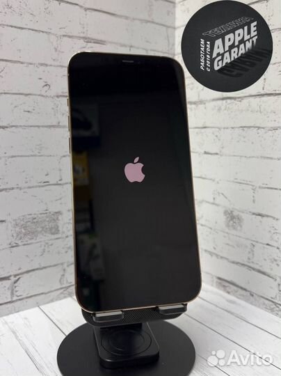 iPhone 12 Pro Max, 256 ГБ