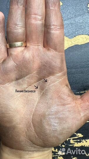 Хиромант,таро,нумеролог,обучение