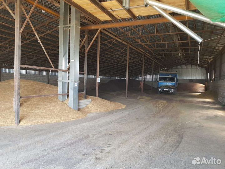 Кфх (фермерское хозяйство) 16.9 Га