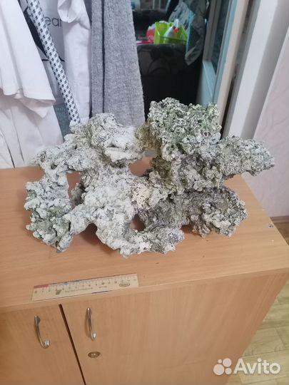 Декорации в аквариум коралл