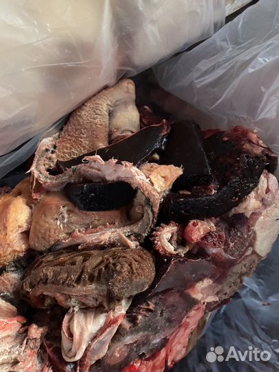 Собачьи лакомства(мясо)